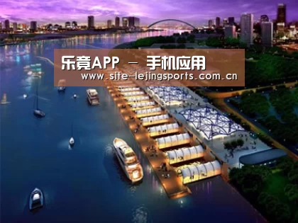 案例展示八