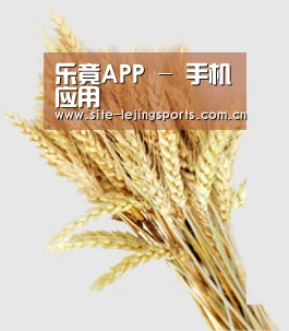 乐竟APP - 手机应用