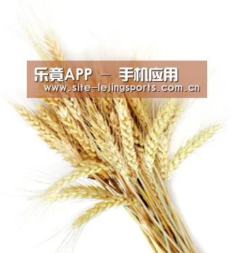 乐竟APP - 手机应用