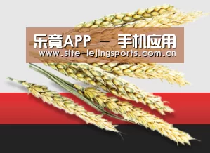 乐竟APP - 手机应用