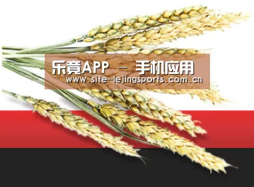 乐竟APP - 手机应用