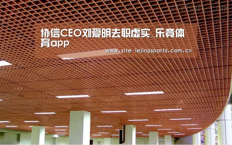乐竟app