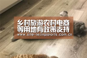 乡村旅游农村电商等用地有政策支持:乐竟app(图2) 乐竟app