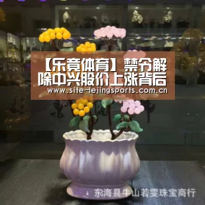【乐竟体育】禁令解除中兴股价上涨背后的思考(图2) 乐竟体育官网