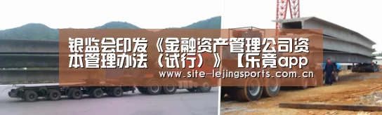 银监会印发《金融资产管理公司资本管理办法(试行)》【乐竟app】(图2) 乐竟体育app