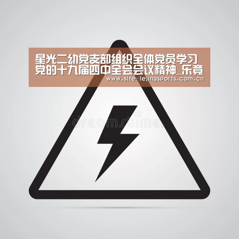 星光二幼党支部组织全体党员学习党的十九届四中全会会议精神_乐竟体育官网(图2) 乐竟体育