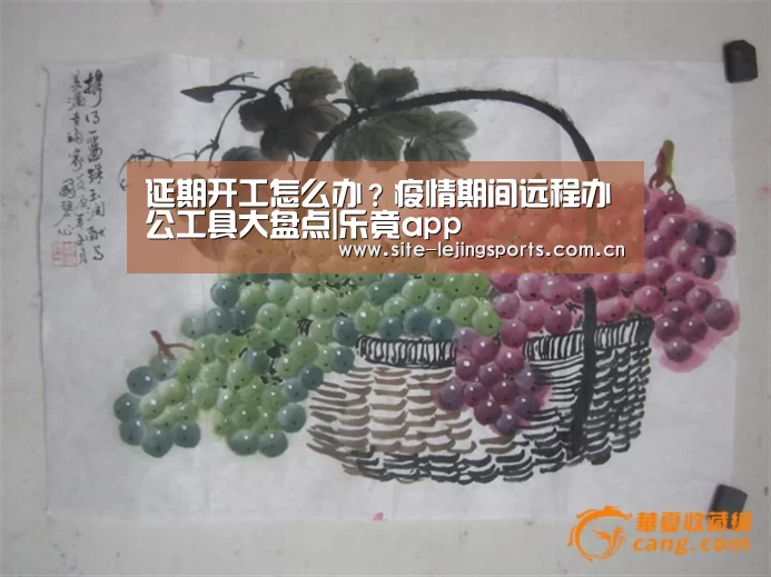 延期开工怎么办?疫情期间远程办公工具大盘点|乐竟app(图2) 乐竟app